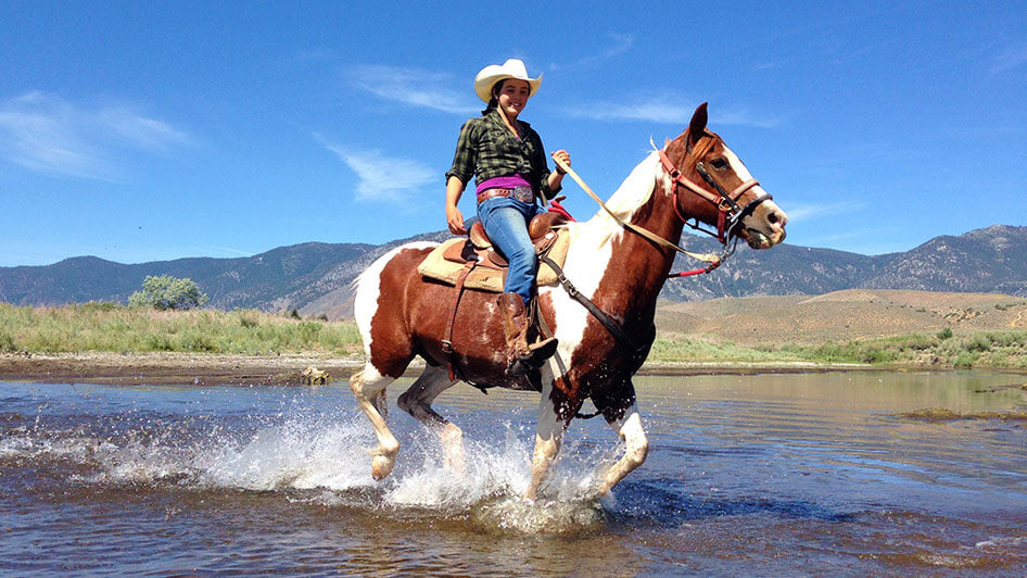 Equestrian center Image