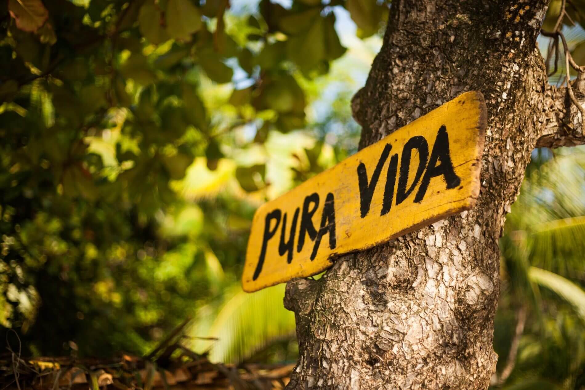 Pura Vida Location Image