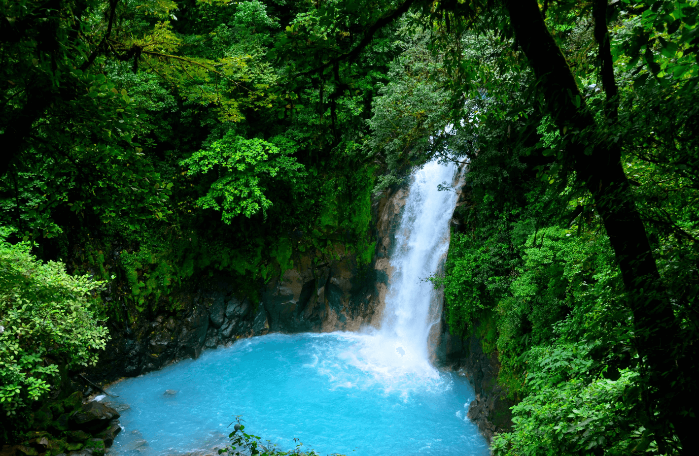 Nature Waterfall Image